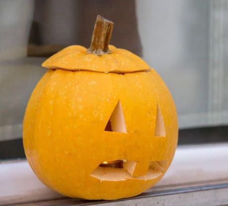 proyecto educativo proyecto educativo